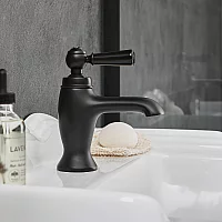 Milano Elizabeth Single Lever Mono Basin Mixer Tap Black