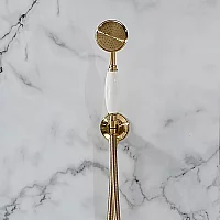 Milano Elizabeth Traditional Hand Shower with Wall Bracket and Integrated Outlet Elbow Brushed Brass