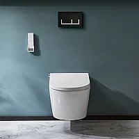 Milano Luxus Wall Hung Japanese Bidet Toilet with Tall Wall Frame Choice of Flush Plate