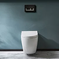 Milano Irwell White Modern Rimless Wall Hung Toilet with Tall Wall Frame Rectangular White Flush Plate