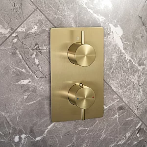 Milano Otto Modern 1 Outlet Thermostatic Twin Shower Valve Brushed Brass